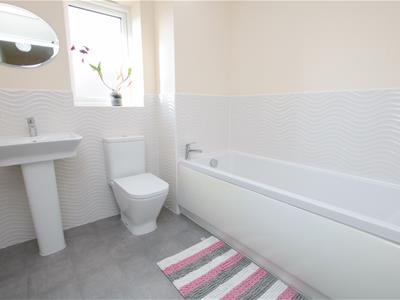 Picture 20